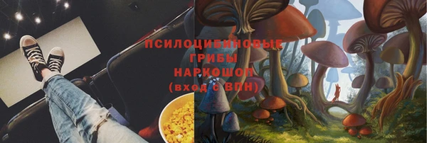 ГАЛЛЮЦИНОГЕННЫЕ ГРИБЫ Аркадак