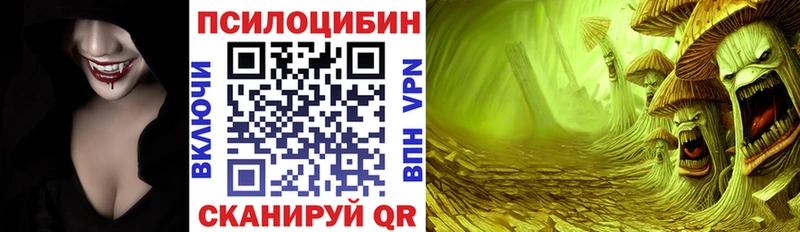 Псилоцибиновые грибы Cubensis  купить наркотики цена  Каневская 